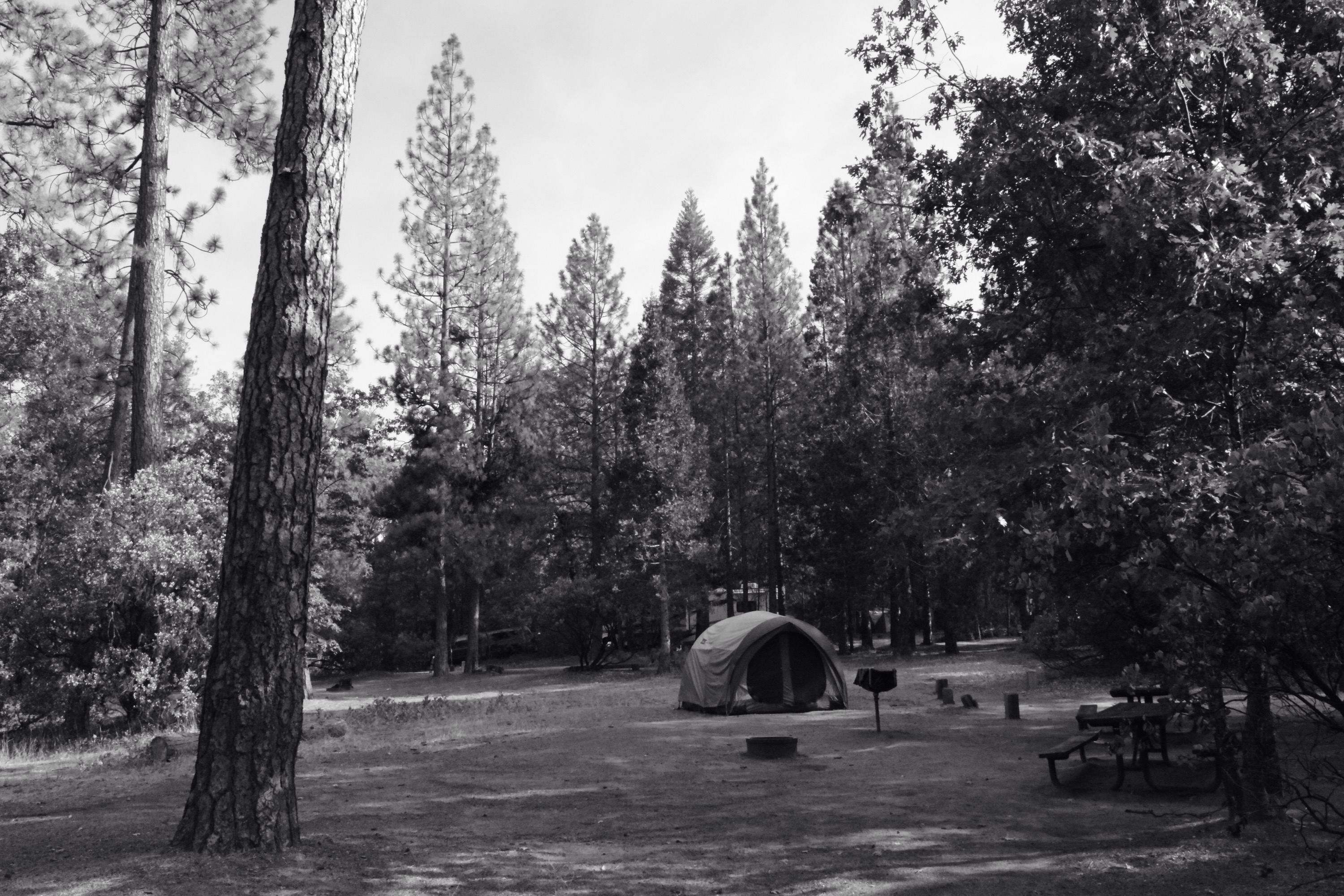 wishon point campsite