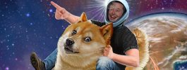 Elon Doge Space