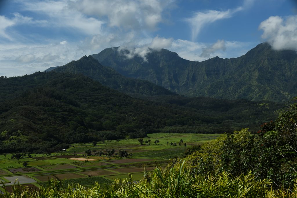 Kauai landscape