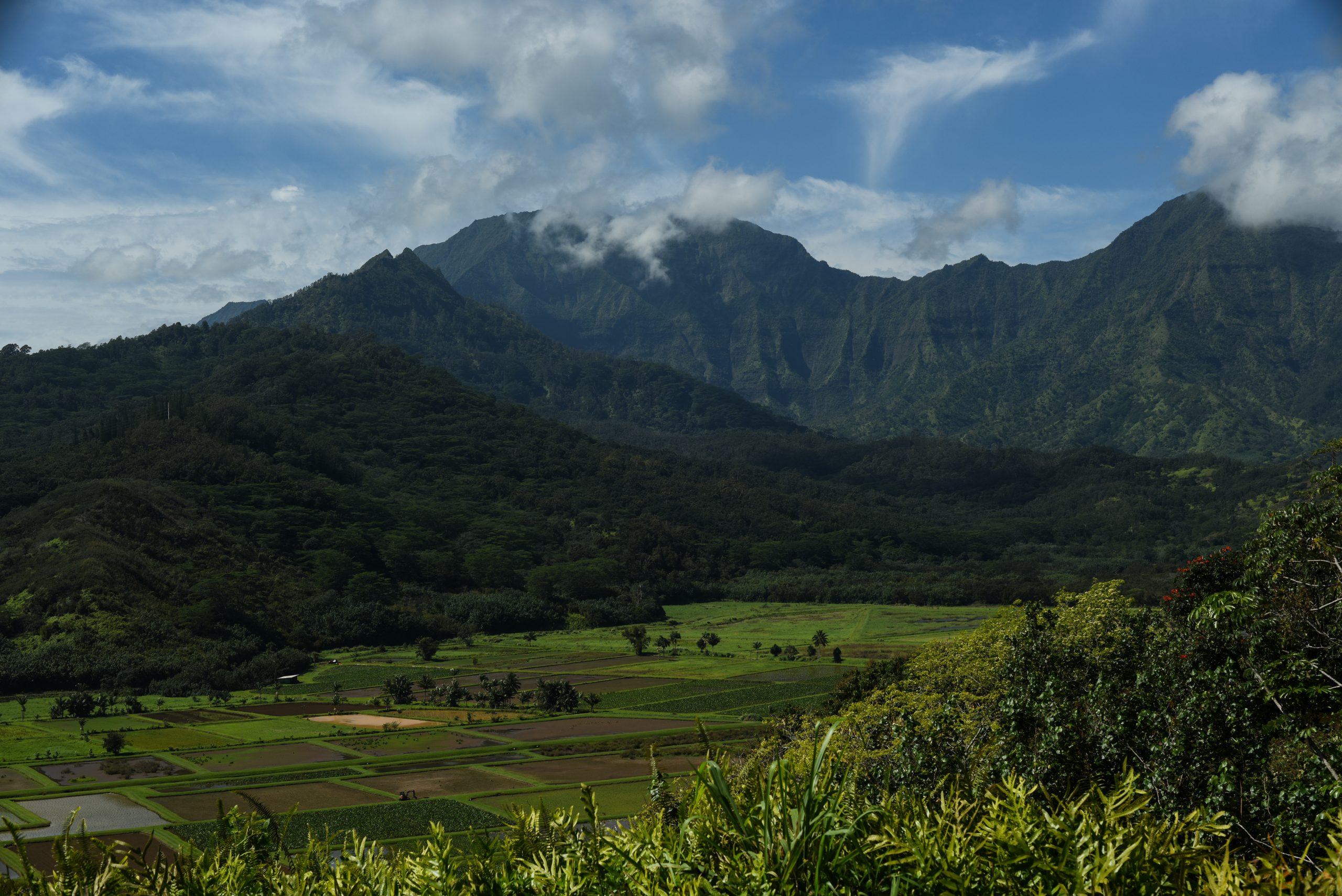 Kauai landscape